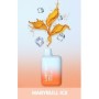Sigaretta elettronica usa e getta Marybull Ice ELF BAR LOST MARY BM600