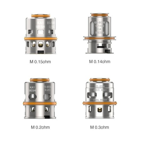 Testine Coil di Ricambio M Dual 0.3Ohm
